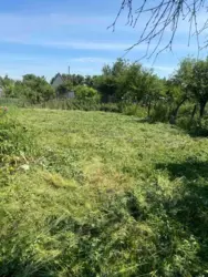 ��������� ��� ������������ ���� �/� ����������, ����, �������, ������������ ���� 6