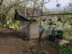 дача в р-ні Аеропорту фото 7 дача в р-ні Аеропорту фото 7