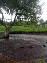 Продается дом Сумская, Сумы, Ковпаковский, Білопільський шлях с/т Цукровик фото 4 Продается дом Сумская, Сумы, Ковпаковский, Білопільський шлях с/т Цукровик фото 4