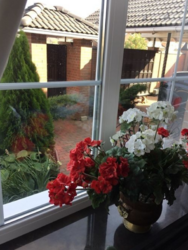 Продается дом Сумская, Сумы фото 13 Продается дом Сумская, Сумы фото 13