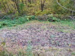 Дача Аэропорт фото 2 Дача Аэропорт фото 2