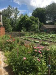 Продается дом Сумская, Сумский, Нижняя Сыроватка фото 2 Продается дом Сумская, Сумский, Нижняя Сыроватка фото 2