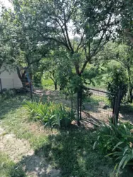 ��������� ��� ����������, �������, ������� ���� 7