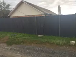 ��������� ��� �����, ������� ��������, ����, ������� ���� 2