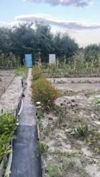 ��������� ��� �/� ճ��-3, ����������, �������, ������� ���� 12