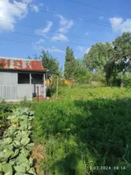 ��������� ��� �����������, ��� ���������, ����, �������, ������������ ���� 6