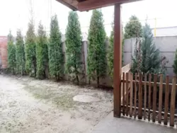 Продается дом Сумская, Сумы, Заречный, с.Липняк фото 6 Продается дом Сумская, Сумы, Заречный, с.Липняк фото 6