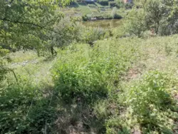 Продается дом с/т Будівельник-2, Сумы, Сумская фото 4 Продается дом с/т Будівельник-2, Сумы, Сумская фото 4