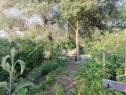 Продается дом Сумская, Сумы, Заречный, с/т Озерний НЕМ фото 11 Продается дом Сумская, Сумы, Заречный, с/т Озерний НЕМ фото 11