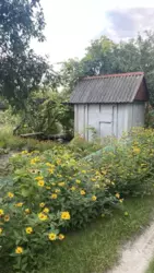 ��������� ��� �/� ճ��-3, ����������, �������, ������� ���� 1