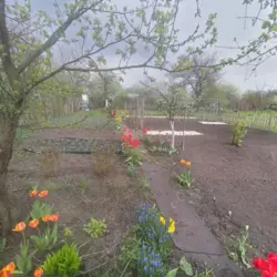 Продается дом Сумская, Сумы, Заречный, Хіммістечко фото 10 Продается дом Сумская, Сумы, Заречный, Хіммістечко фото 10