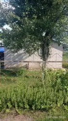 Продается дом с/т Чисті пруди, Сумы, Сумская, Заречный фото 5 Продается дом с/т Чисті пруди, Сумы, Сумская, Заречный фото 5