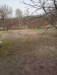 Продается дом р-н Баси, Сумы, Сумская, Заречный фото 7 Продается дом р-н Баси, Сумы, Сумская, Заречный фото 7