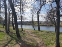 Продается дом Сумская, Сумы, Ковпаковский, Веретинівка фото 7 Продается дом Сумская, Сумы, Ковпаковский, Веретинівка фото 7