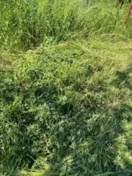 ��������� ��� ������������ ���� �/� ����������, ����, �������, ������������ ���� 1