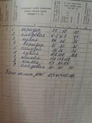 ��������� ��� ����, �������, ������� ���� 14