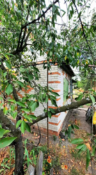 Продается дом Сумская, Сумы, Заречный, ул.Седова фото 4 Продается дом Сумская, Сумы, Заречный, ул.Седова фото 4