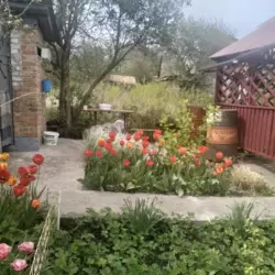 Продается дом Сумская, Сумы, Ковпаковский, Роменська траса с/т Маяк фото 6 Продается дом Сумская, Сумы, Ковпаковский, Роменська траса с/т Маяк фото 6