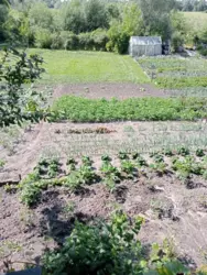 ��������� ��� ����������, �������, ������� ���� 8