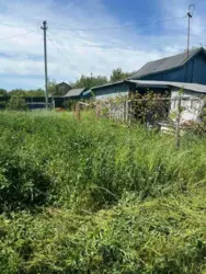 ��������� ��� ������������ ���� �/� ����������, ����, �������, ������������ ���� 4