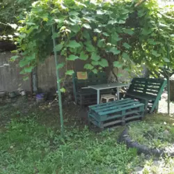 Продается дом Білопільська траса поворот на Северинівку, Севериновка, Сумский, Сумская фото 4 Продается дом Білопільська траса поворот на Северинівку, Севериновка, Сумский, Сумская фото 4