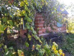 Продается дача Лука фото 1 Продается дача Лука фото 1