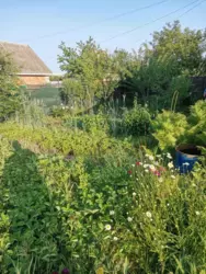 Продается дом Сумская, Сумы, Заречный, с/т Озерний НЕМ фото 15 Продается дом Сумская, Сумы, Заречный, с/т Озерний НЕМ фото 15