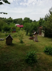 Продается дом Сумская, Сумы, Ковпаковский, Веретеновка фото 17 Продается дом Сумская, Сумы, Ковпаковский, Веретеновка фото 17