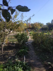 Продается дом Сумская, Сумы, Заречный, Р. Корсакова фото 4 Продается дом Сумская, Сумы, Заречный, Р. Корсакова фото 4