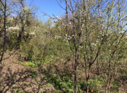 Продается дом Сумская, Сумский, Красное фото 4 Продается дом Сумская, Сумский, Красное фото 4