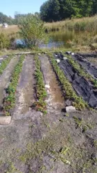 Продается дом Железняк, Сумский, Сумская фото 3 Продается дом Железняк, Сумский, Сумская фото 3