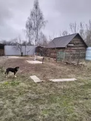 ��������� ��� ���������, ����, �������, �������� ���� 10