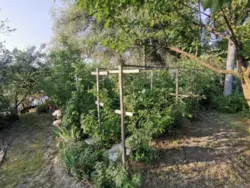 Продается дом Сумская, Сумы, Заречный, с/т Озерний НЕМ фото 9 Продается дом Сумская, Сумы, Заречный, с/т Озерний НЕМ фото 9