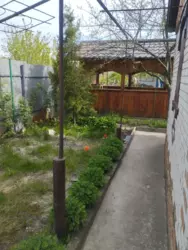 Продается дом Сумская, Сумы, Олдыш фото 5 Продается дом Сумская, Сумы, Олдыш фото 5