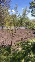 Продается дом Барановка с/т Озерний, Сумы, Сумская, Заречный фото 3 Продается дом Барановка с/т Озерний, Сумы, Сумская, Заречный фото 3