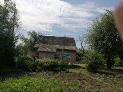 Продается дом Сумская, Сумы, Барановка фото 5 Продается дом Сумская, Сумы, Барановка фото 5