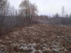 Продается дом Сумская, Сумы, Заречный, Баранівка с/т Енергетик-1 фото 1 Продается дом Сумская, Сумы, Заречный, Баранівка с/т Енергетик-1 фото 1