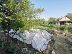 Продается дом Сумская, Сумы, Заречный, с/т Озерний НЕМ фото 17 Продается дом Сумская, Сумы, Заречный, с/т Озерний НЕМ фото 17