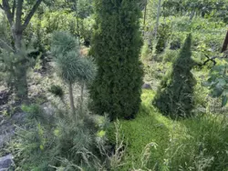 Продается дом Сумская, Сумы, Ковпаковский, Білопільський шлях с/т Фрунзенець фото 10 Продается дом Сумская, Сумы, Ковпаковский, Білопільський шлях с/т Фрунзенець фото 10