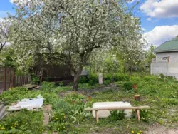 Продается дом Сумская, Сумы фото 4 Продается дом Сумская, Сумы фото 4