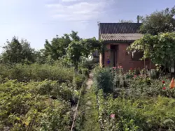 ��������� ��� ���������, �/� ������� ��Ĳ���, ����, �������, �������� ���� 1