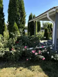 ��������� ��� �. ������ ϳ����, ����, �������, ������������ ���� 15