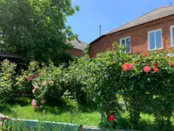 Продается дом Сумская, Сумы фото 14 Продается дом Сумская, Сумы фото 14