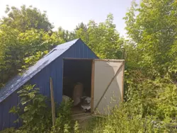 Продается дом Новоселица, Сумский, Сумская фото 5 Продается дом Новоселица, Сумский, Сумская фото 5