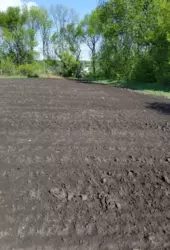 Продается дом Сумская, Сумский, Сад, С/ т 'Садівник - 1'. фото 4 Продается дом Сумская, Сумский, Сад, С/ т 'Садівник - 1'. фото 4