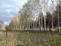 Продается дом Сумская, Сумы, Заречный, Римського-Корсакова, с/т Хімік-1 фото 4 Продается дом Сумская, Сумы, Заречный, Римського-Корсакова, с/т Хімік-1 фото 4