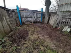 ��������� ��� ����, �������, ������� ���� 18