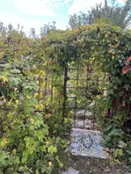 ��������� ��� �/� ճ��, ����, �������, �������� ���� 1