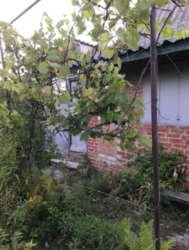 Продается дом Сумская, Сумы фото 2 Продается дом Сумская, Сумы фото 2