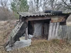 ��������� ��� �������, �����������, ������� ���� 7